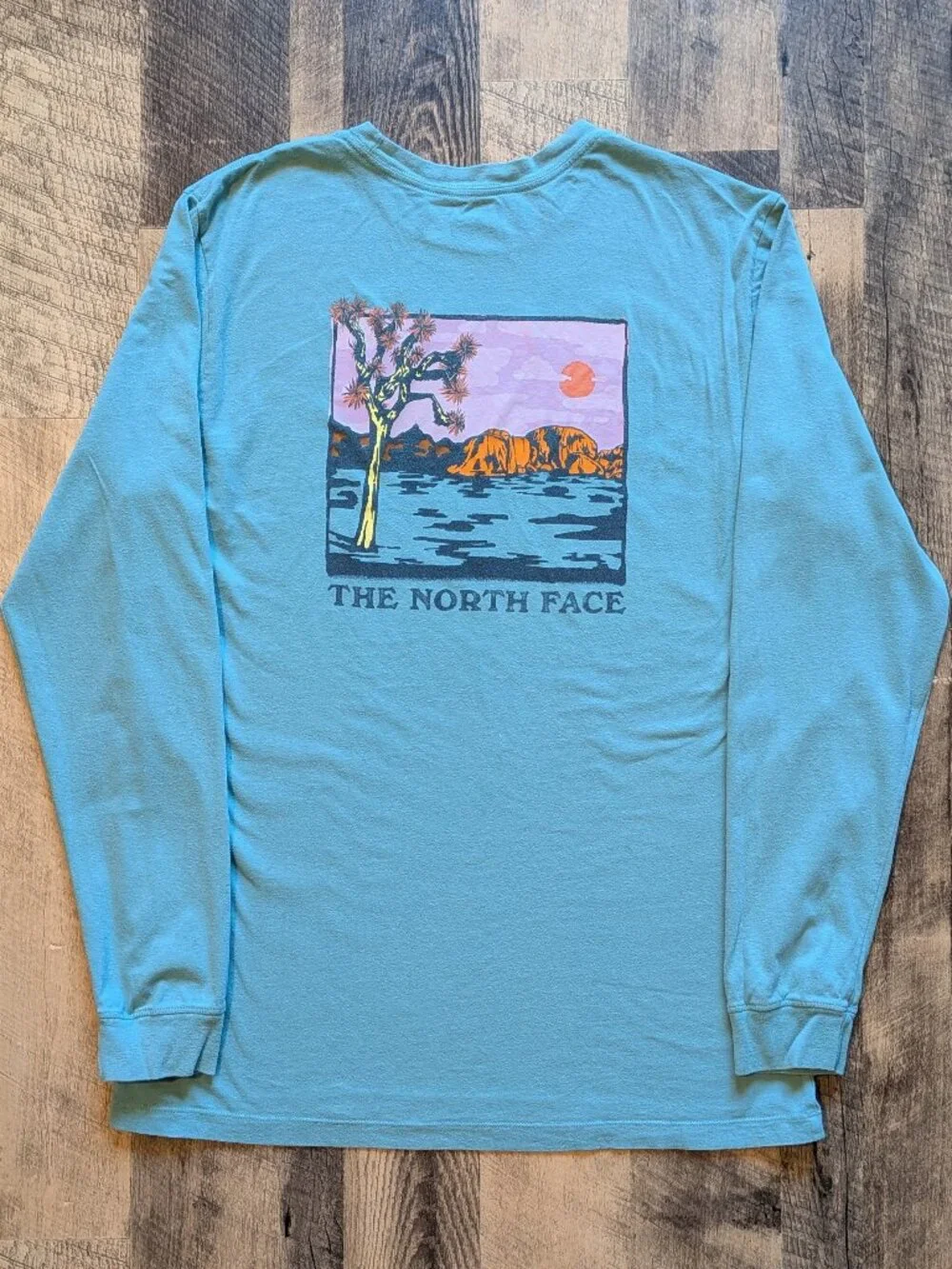 The North Face this north